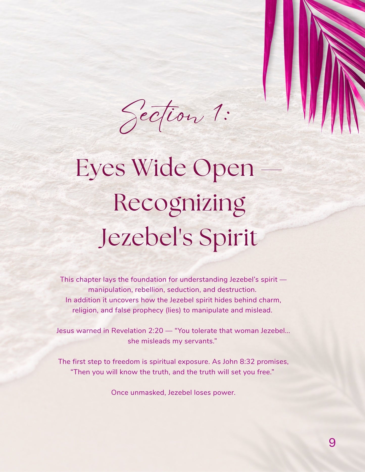 AVAILABLE SOON Eliminating The Jezebel Spirit Instructors Guide (Ebook Download Format) (Copy)